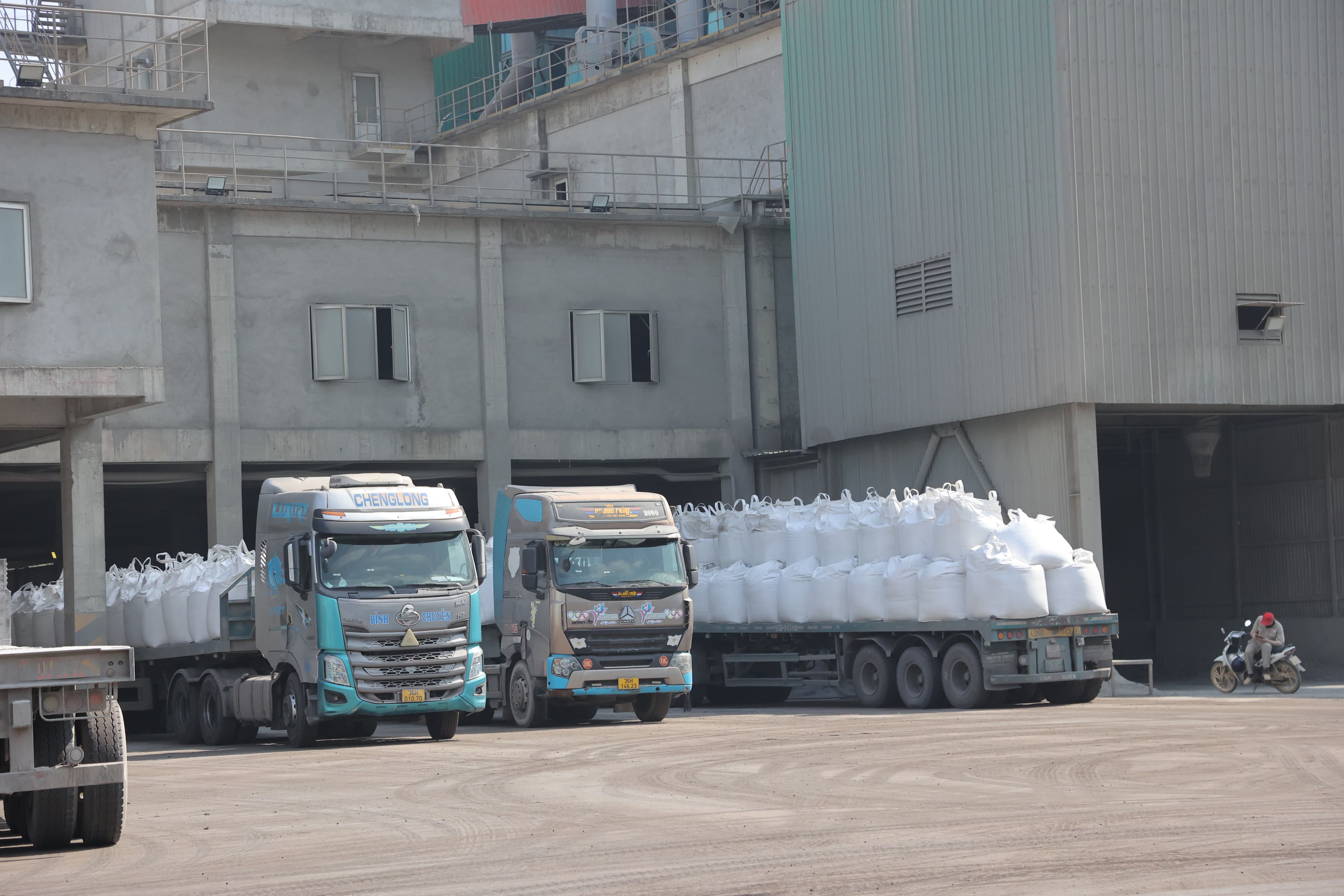 Phuc Loi Cement Landscape